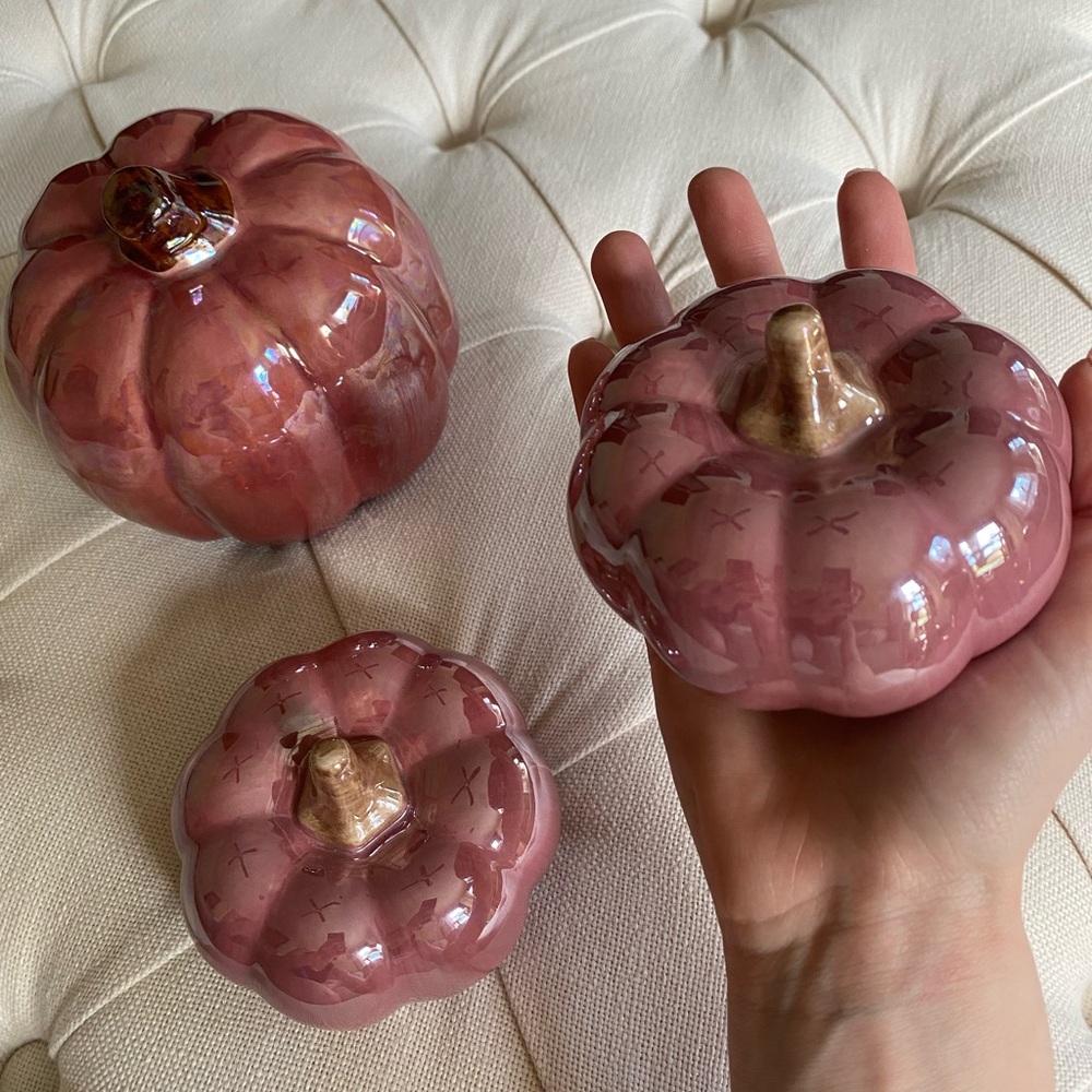 Ceramic Pink Pumpkins Bundle ✨
